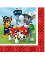 PAW PATROL TISSUES 20PCS