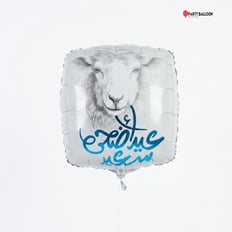 بالون عيد الأضحى_1