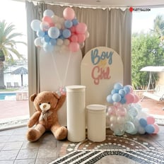 Gender Reveal Arrangement_5