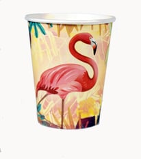 كاسات ثيم فلامنجو عدد 6 قطع