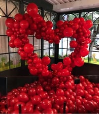 Oganic Heart Balloon