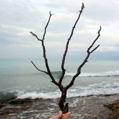 user Black Coral