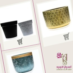 الاحواض