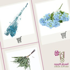 تنسيق
