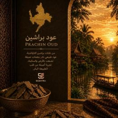 عود براشين طبيعي