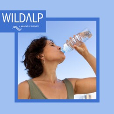 وايلد الب - WILDALP | تطبيق أركن