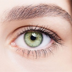 جميع العدسات - All lenses | تطبيق أركن