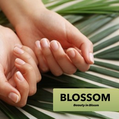 بلوسوم - Blossom | تطبيق أركن