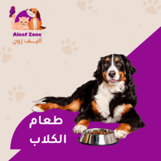 طعام الكلاب