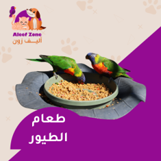 طعام الطيور