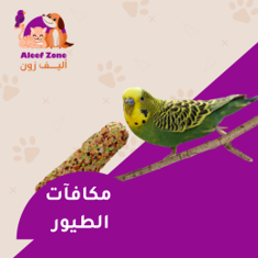 مكافآت الطيور