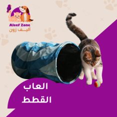 العاب القطط
