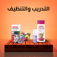 Training & Hygiene