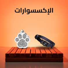 الإكسسوارات