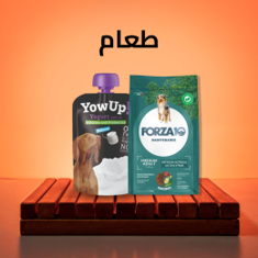 طعام