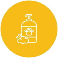 Shampoo and Perfumes