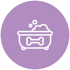 التنظيف