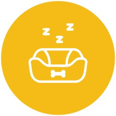 Beds