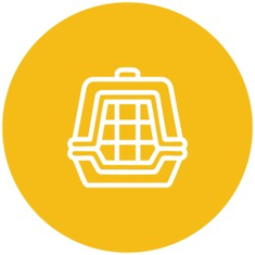 Carriers