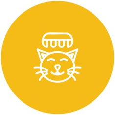 Hair and Paw care