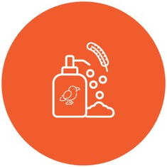 الصحة والرعاية