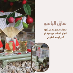 مجموعة ساق البامبو