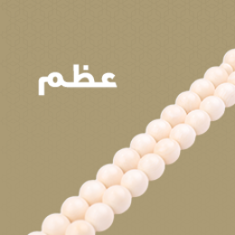 عظم