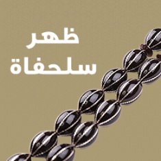 ظهر سلحفاة