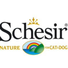 شيزر | Schesir