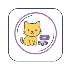 اكسسوارات وملابس
