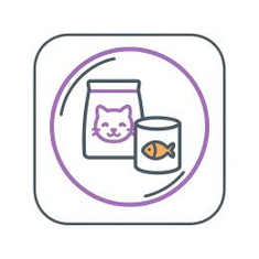 wet food