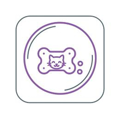 treats for cat
