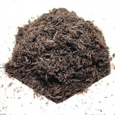 مبثوث