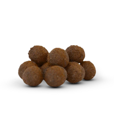 معمول