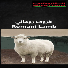 خروف روماني