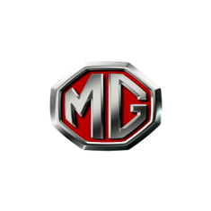 فلاتر MG صيني