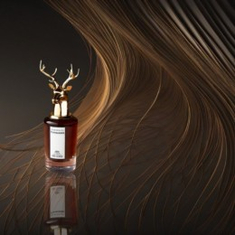 عطور النيش