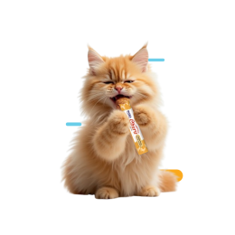 Treats