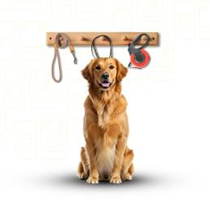 Leashes