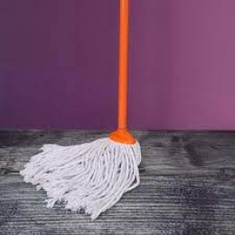 Mop