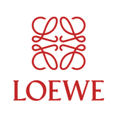 Loewe bags