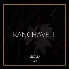 Kanchaveli