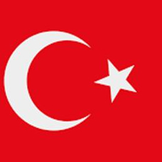 باركيه تركي