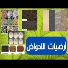 حصى ورمل لأرضيات الأحواض