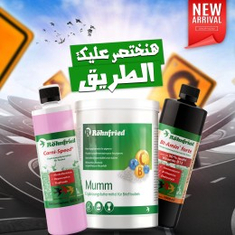 رونفريد