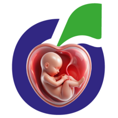 Safe Pregnancy