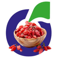 البربرين