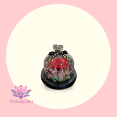 Rose of the year