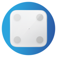 Xiaomi Scale