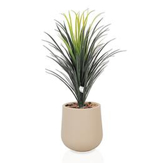 Artificial Cactus Trees adding a natural touch to any space